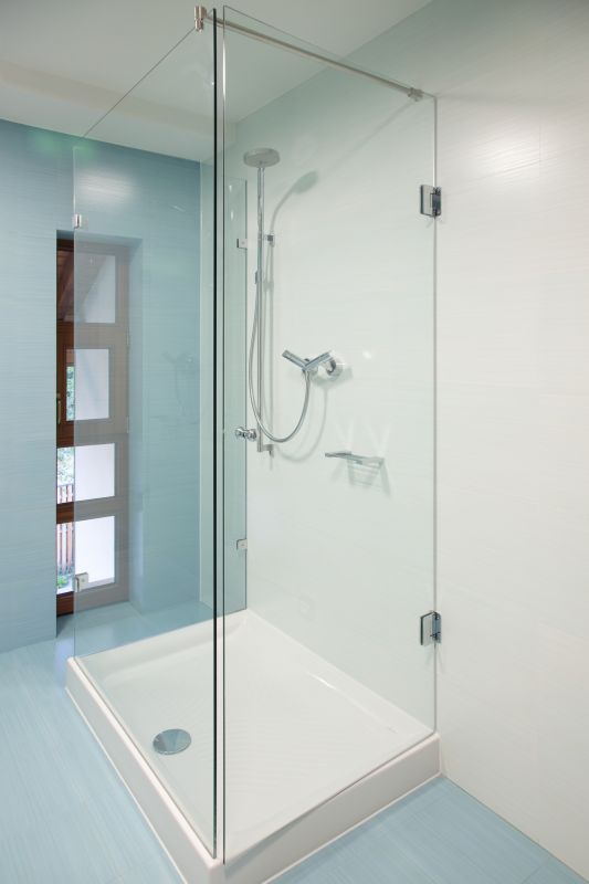 Shower Renovation Ideas